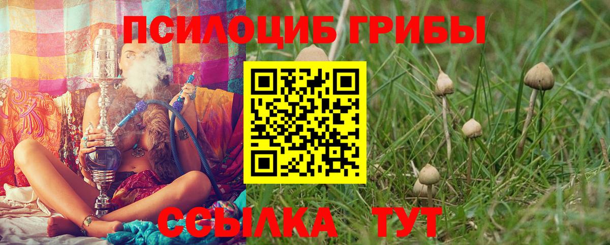Галлюциногенные грибы GOLDEN TEACHER  наркота  Киселёвск  Псилоцибиновые грибы MAGIC MUSHROOMS  Вход с VPN 